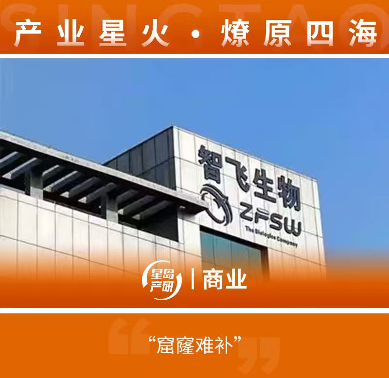 微信图片_20260204195552_1408 微信图片_20260204195552_1408