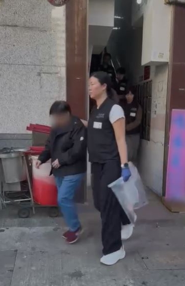 一条龙1-1 一条龙1-1