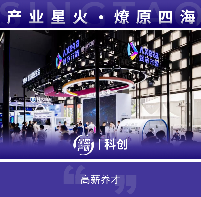 爱芯元智1 爱芯元智1