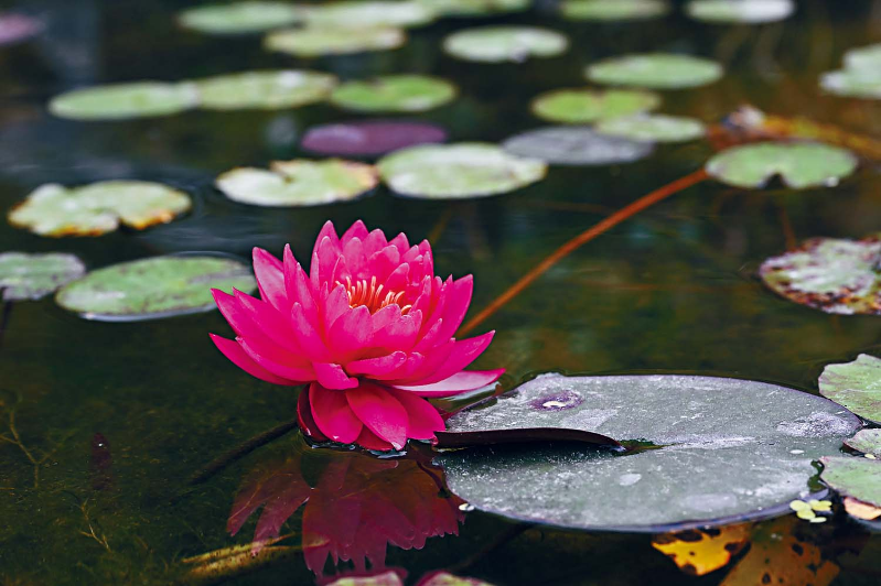 凭佛心书写ESG古剎新篇章3 凭佛心书写ESG古剎新篇章3