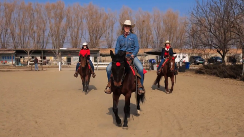 美国驻华使领馆发新春帖文 美国驻华使领馆发新春帖文