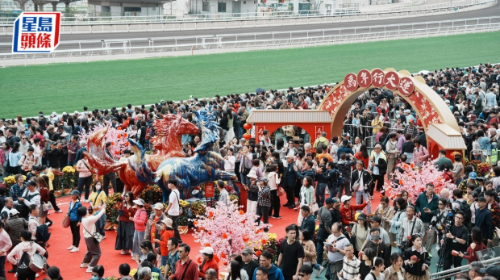 沙田马场近1.7万人入场 沙田马场近1.7万人入场