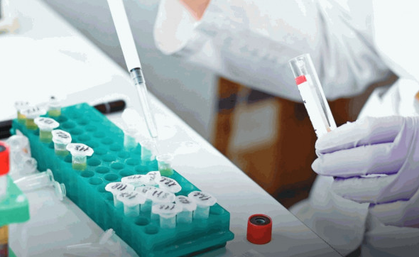 _2024031919050545228 _2024031919050545228