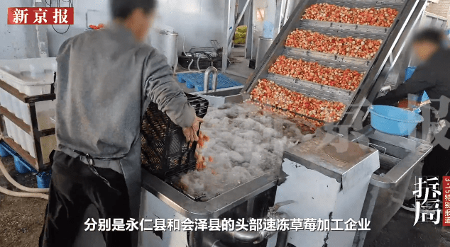 据《新京报》报道,2026年1月,福建漳州泰湖谷场食品有限公司的负责人林女士,主动向外界披露公司生产的加糖士多啤梨冻干,不仅重金属“镉”严重超标14.5倍,更被验出20多种违规农药残留 据《新京报》报道,2026年1月,福建漳州泰湖谷场食品有限公司的负责人林女士,主动向外界披露公司生产的加糖士多啤梨冻干,不仅重金属“镉”严重超标14.5倍,更被验出20多种违规农药残留