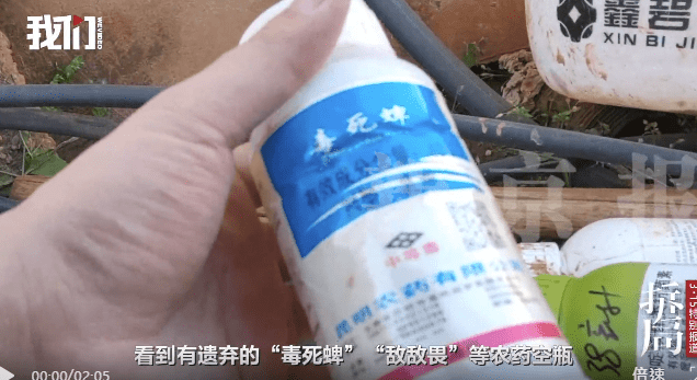 2026年2月初,记者赶到丽江华坪金芒果生态开发股份有限公司的主要草莓收购地云南省楚雄州永仁县和曲靖市会泽县实地调查。 2026年2月初,记者赶到丽江华坪金芒果生态开发股份有限公司的主要草莓收购地云南省楚雄州永仁县和曲靖市会泽县实地调查。