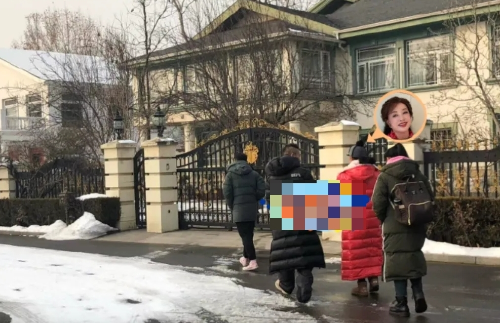 刘晓庆1 刘晓庆1