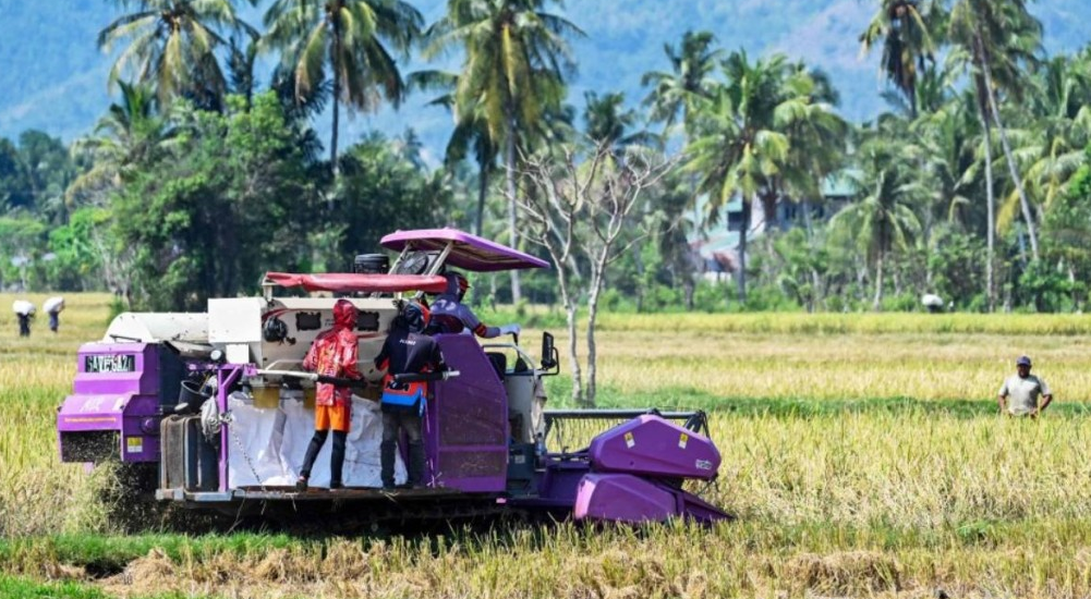 施罗德忧化肥供应推高食品价格 施罗德忧化肥供应推高食品价格