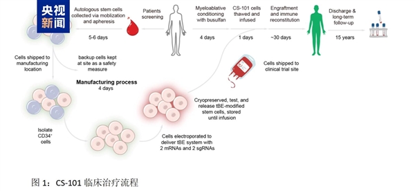 我国研发新型基因编辑技术:有望让重症地贫患者摆脱输血依赖