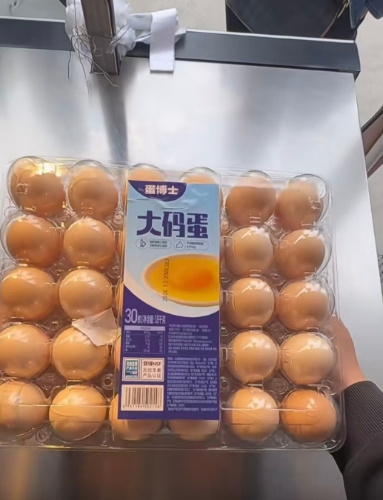 肉蛋堡1 肉蛋堡1