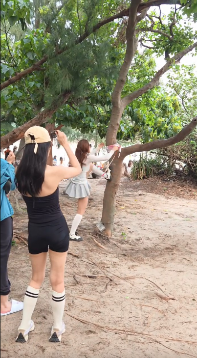 有内地女子在西贡浪茄爬树。 有内地女子在西贡浪茄爬树。