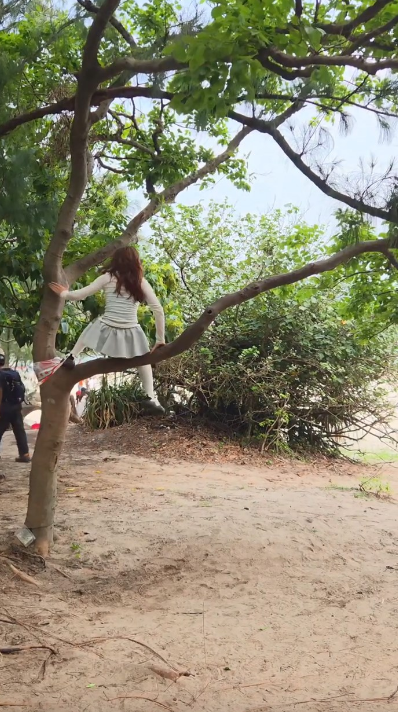 有内地女子在西贡浪茄爬树 有内地女子在西贡浪茄爬树