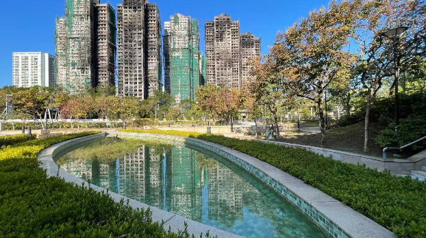 断壁残垣间的温暖微光 断壁残垣间的温暖微光