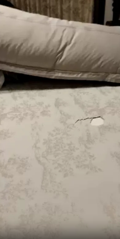 事发床铺画面截图。 事发床铺画面截图。