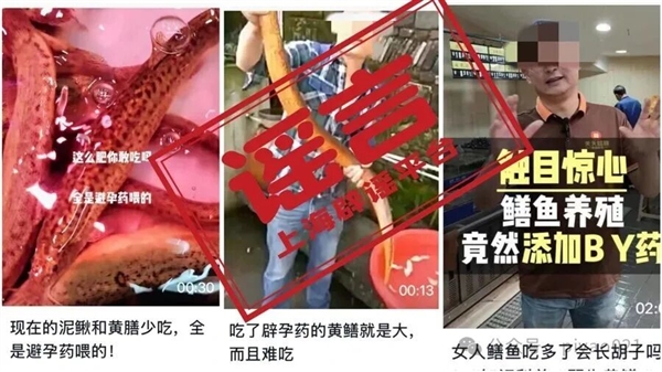 黄鳝在养殖过程中被喂了避孕药?这谣言传30年了