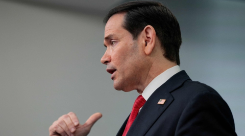 鲁 鲁