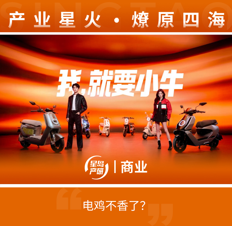 小牛 小牛