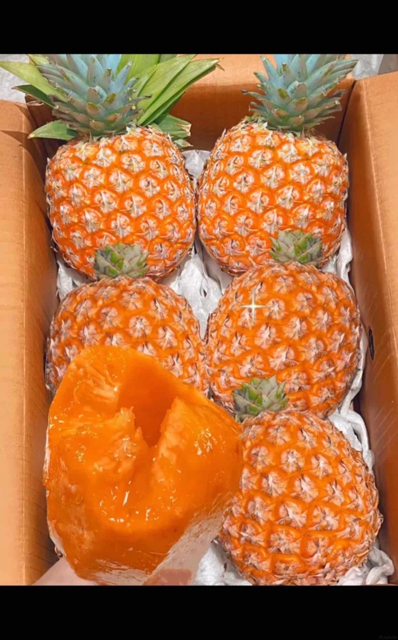 图为“芒果凤梨” 图为“芒果凤梨”