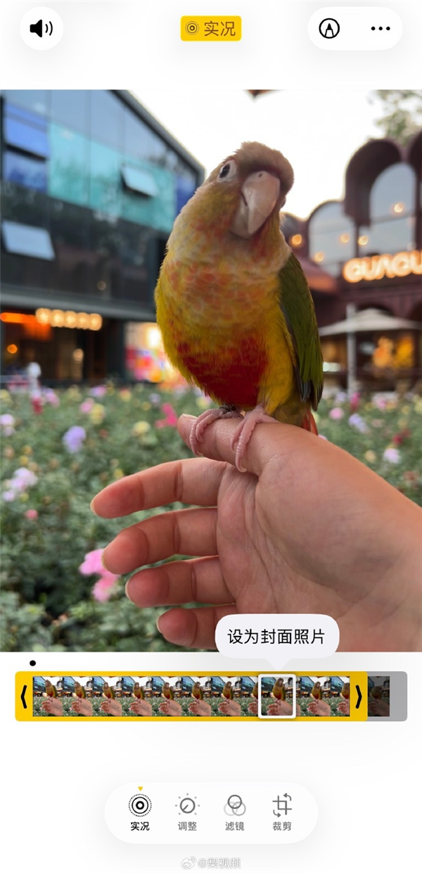 苹果实况图被指精准选丑!客服回应:实况定格是系统判断