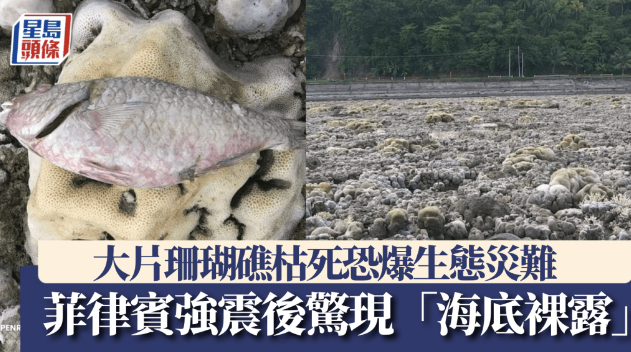 菲律宾南部强震后惊现“海底露出” 菲律宾南部强震后惊现“海底露出”